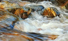 Springlebendiger Bach