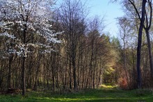 Licht am Ende des Tunnels?