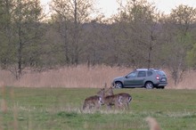 Naturtourismus