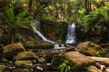 Horseshoe Falls