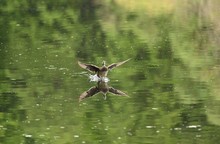 Der Landeanflug