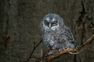 Zwei ... und ... sechzig