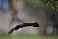 Perfekte Aerodynamik