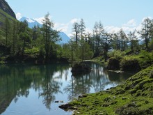 Bergsee