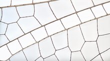 Ausschnitt eines Libellen-Flügels