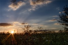 Wildblumenwiese an der Abens