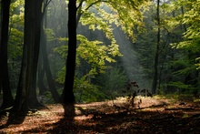 Letzte Sonnenstrahlen...