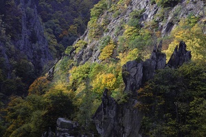 Urlandschaft im Licht