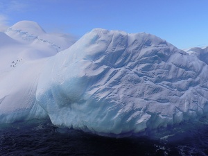 Blauer Eisberg mit Pinguinen