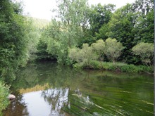 Flusslandschaft im Monbachtal