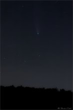 Neowise
