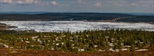 °°° Frühsommer in Lappland °°°