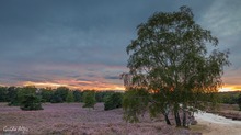 Sundowner in der Heide