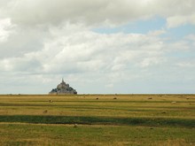 kleiner Hügel im Wattenmeer