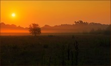 *Sonnenaufgang im Makrorevier*