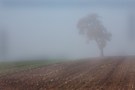 Nebel zieht übers Land