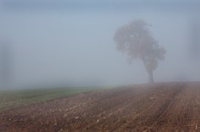 Nebel zieht übers Land