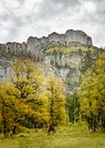 Herbstankunft