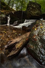 In der Ehrbachklamm