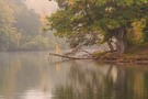 Herbst am Bärensee