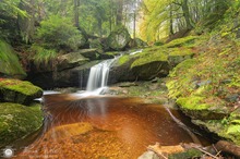 Herbstimpressionen aus dem Harz