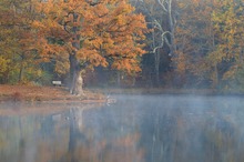 Bärensee