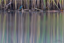 Farben mit Juwel