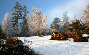 Ein Wintertag ...,