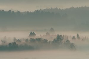 Im Dunst des Nebels