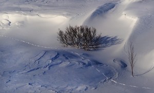 Spuren des Lebens