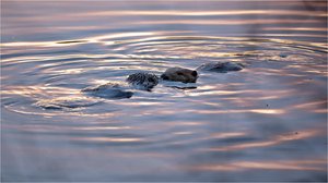 „Begrüßung mitten im Fluss“