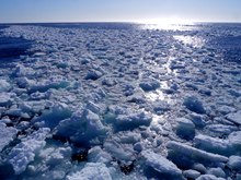 Packeis vor Spitzbergen