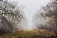 Durchgang zum Nebel