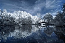 Weihnachtliche Landschaft