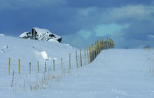 Lofoten Impression