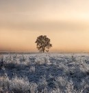 Winterlicher Morgen in der Nordeifel