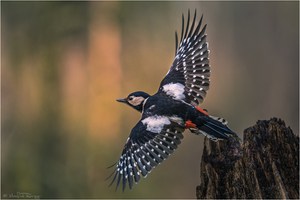 -- take off --
