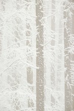 frisch gefallener Schnee im Nebelwald