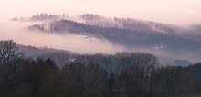 Leicht verschneiter Nebelwald