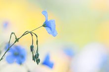 ein bißchen Frühsommerfeeling