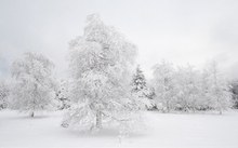 Winterlandschaft