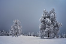 Schwarzwald