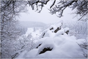 Schnee in der Eifel