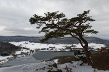 Überm See