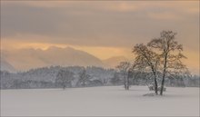 morgendlicher Blick in die Berge