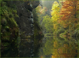 Wilde Klamm 1