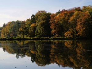 ~ Herbstimpressionen II ~