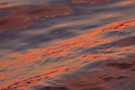 Wasserspiegelung