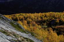 Jotunheimen Nationalpark