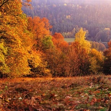 der letzte schöne Herbsttag...